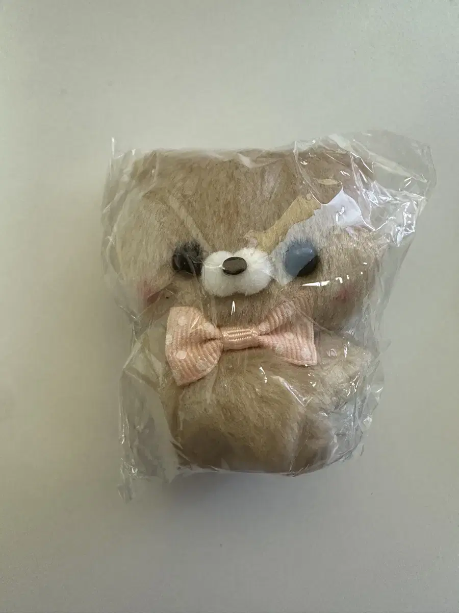 스쿳토타치 곰 인형