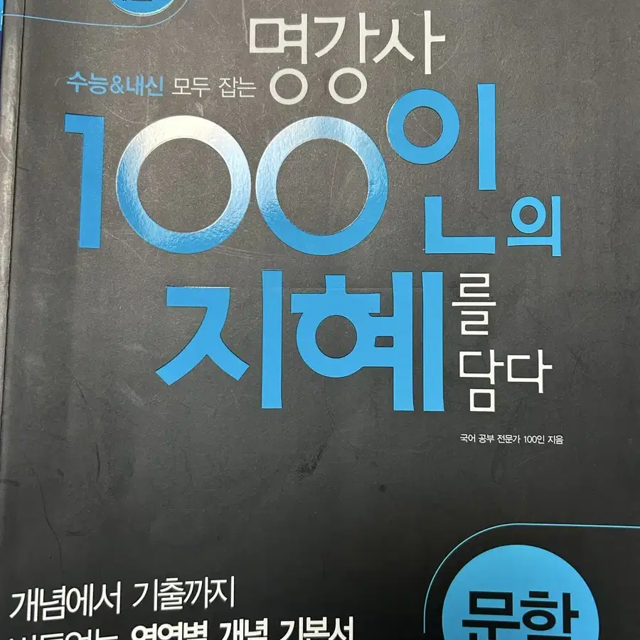 100인의 지혜 독서 문학