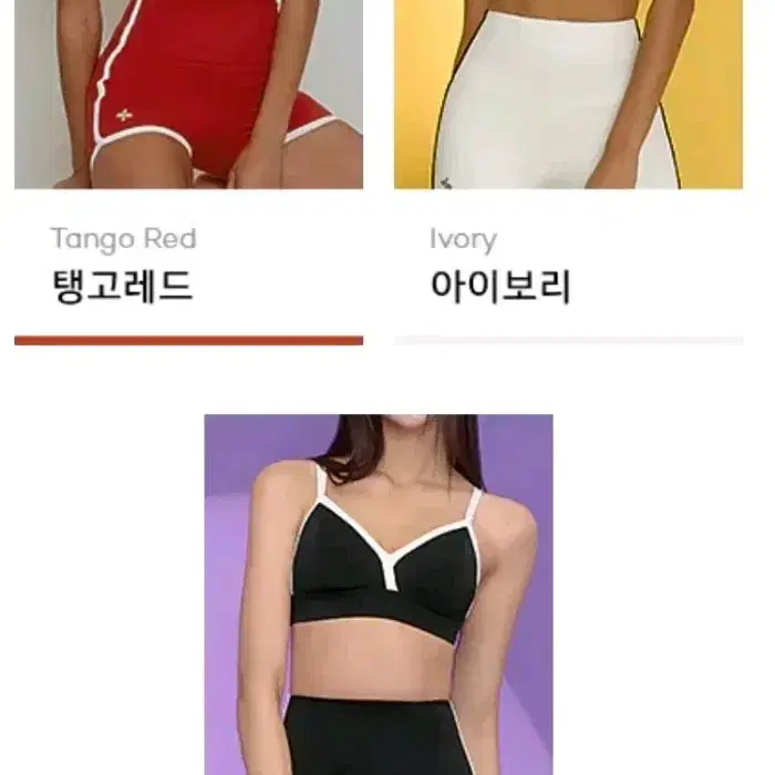 {정품} S 젝시믹스  엑스프리즈마 알파 배색 브라탑