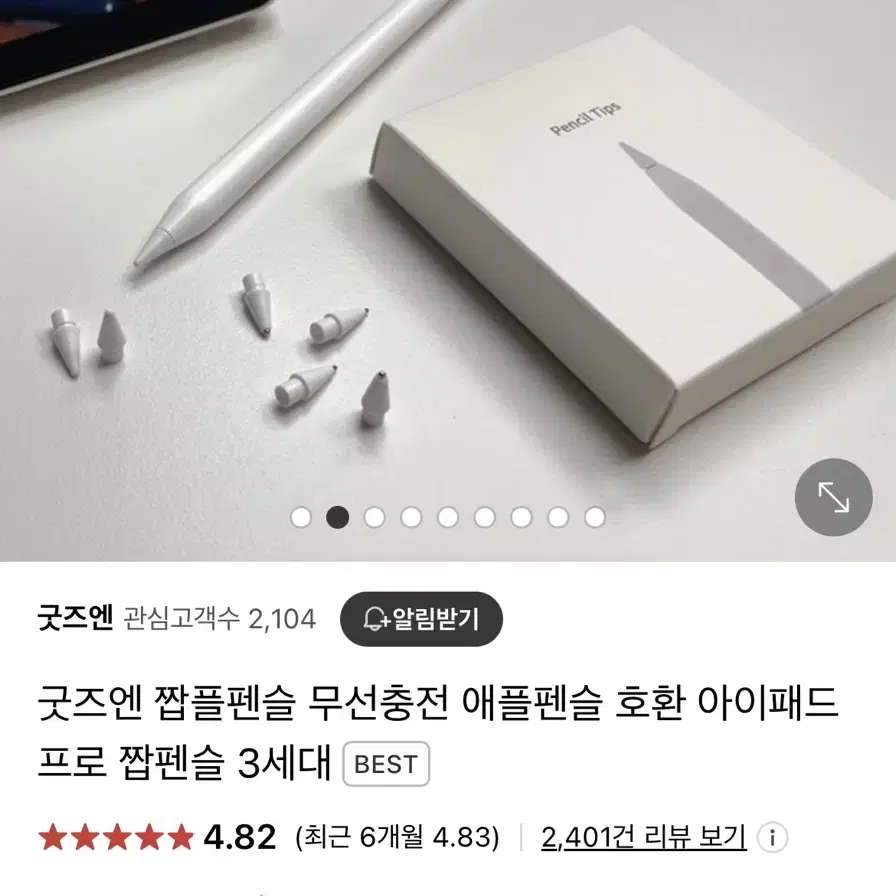 굿즈앤 아이패드 펜슬 짭플펜슬