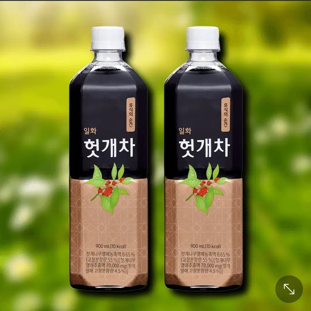 헛개차 900ml 갈증 피로 숙취회복 칼로리제로 헛개나무 차