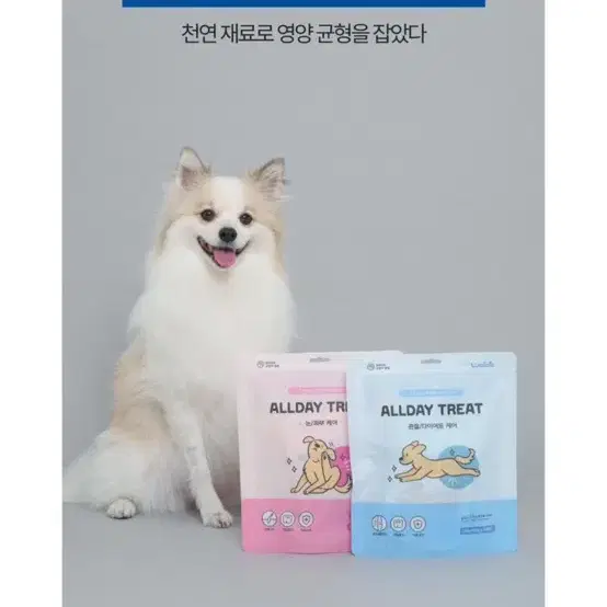 강아지 고양이 눈 피부 영양제 올데이 케어 트릿 120g