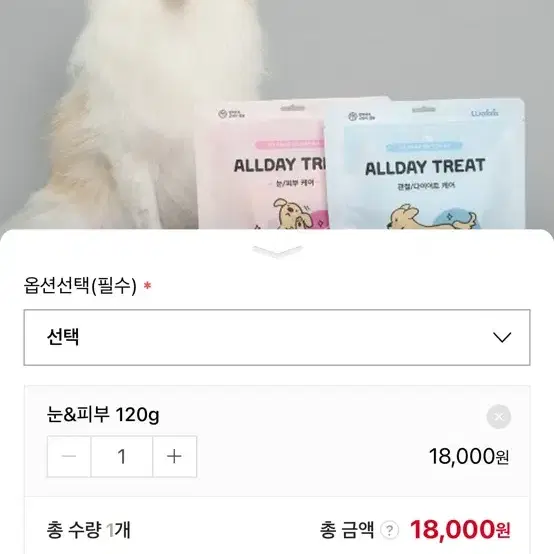 강아지 고양이 눈 피부 영양제 올데이 케어 트릿 120g