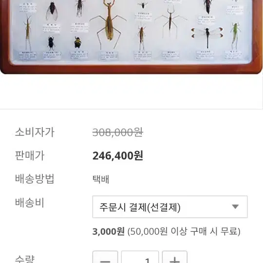 곤충표본 액자 신품   직거래만 합니다 양산 남부동