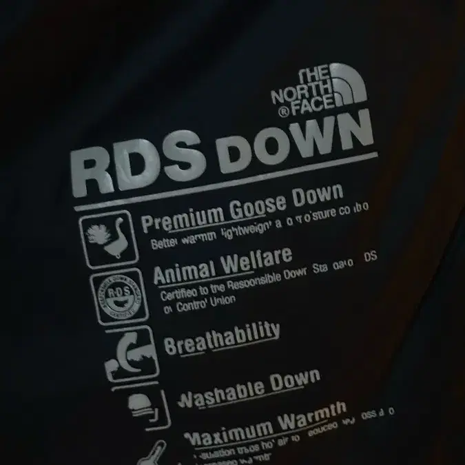 노스페이스 RDS DOWN 패딩