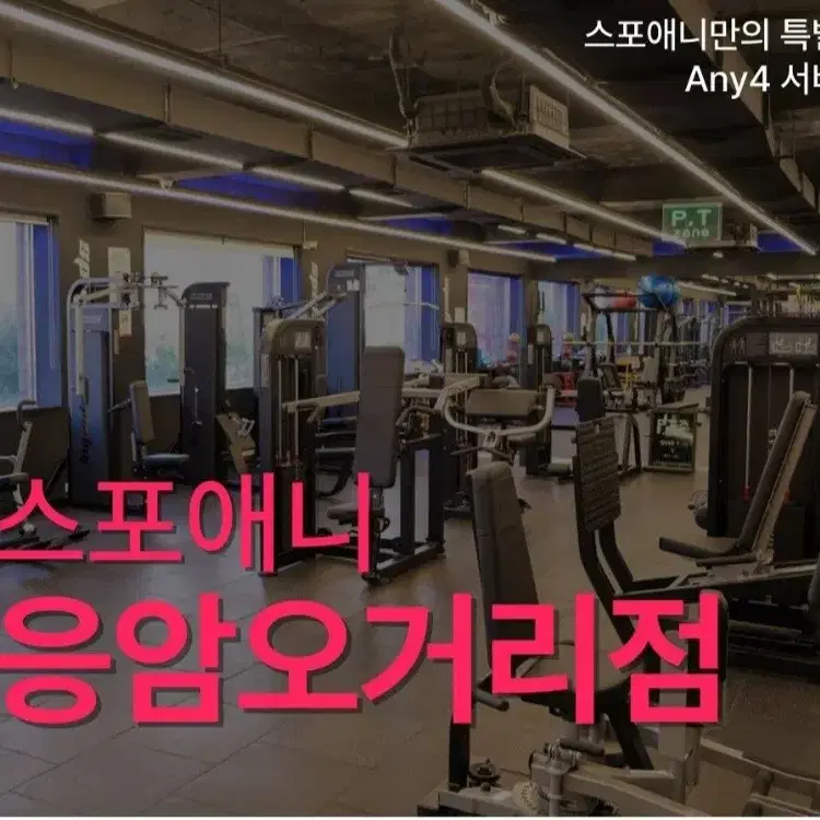 스포애니 프로 헬스장(운동복 포함) 3개월 양도