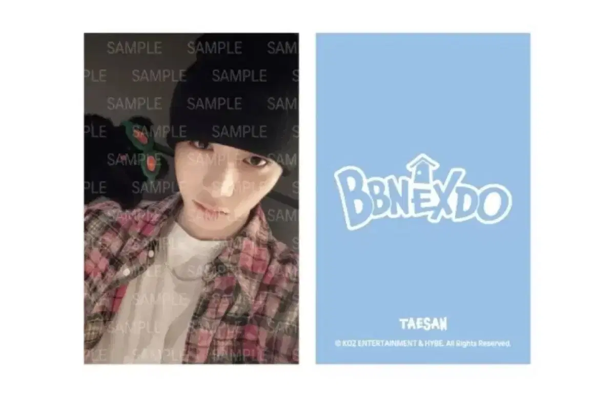 Shipping fee XX off!!) boynextdoor taesan Plush doll keyring photocard Buncheol