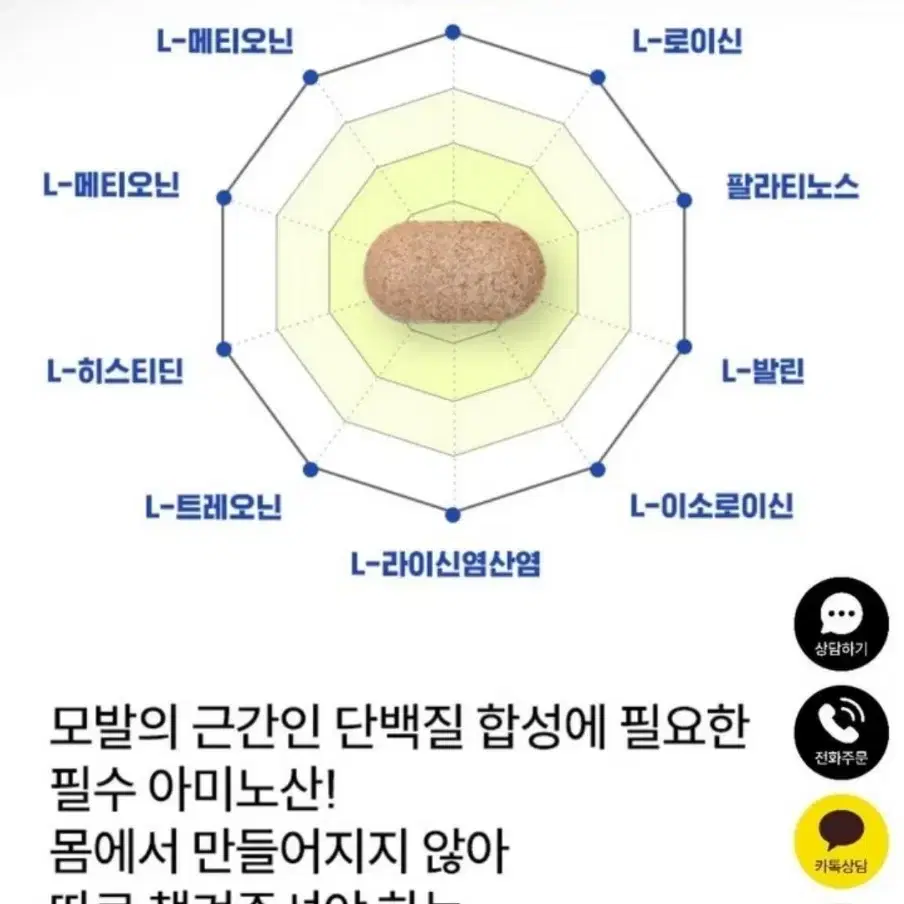 맥주효모 비오틴