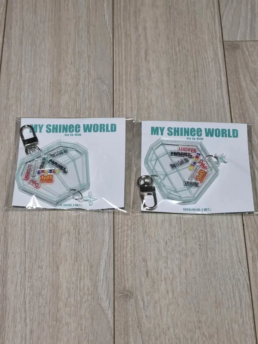 MY SHINee WORD마이샤이니월드 마샤월샤이니 쉐이커 키링