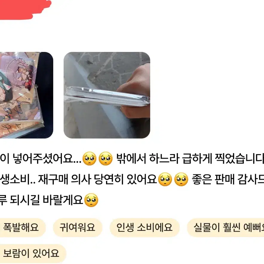 처분 목적 프세카 프로세카 개혜자 랜박