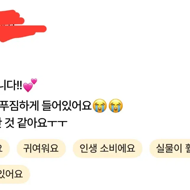 처분 목적 프세카 프로세카 개혜자 랜박