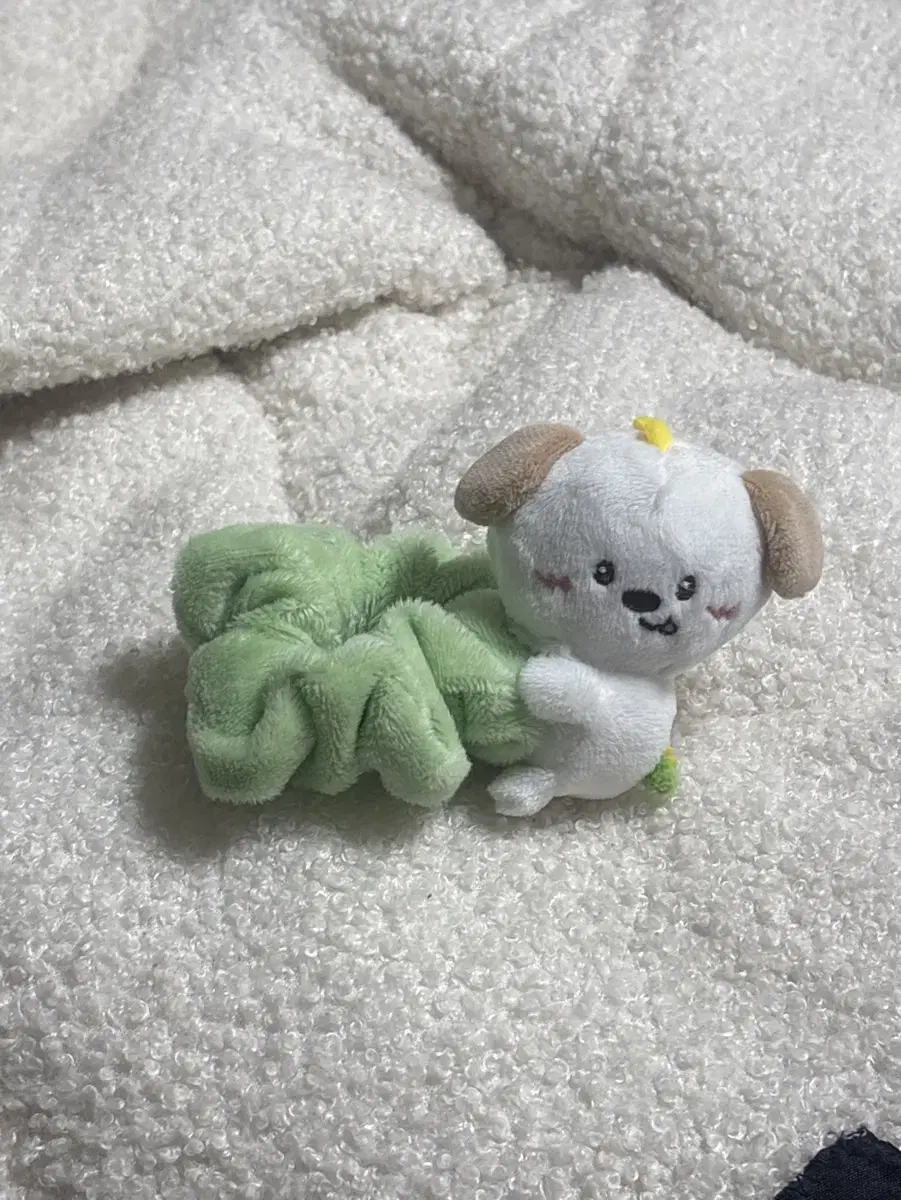 앤톤 scrunchie