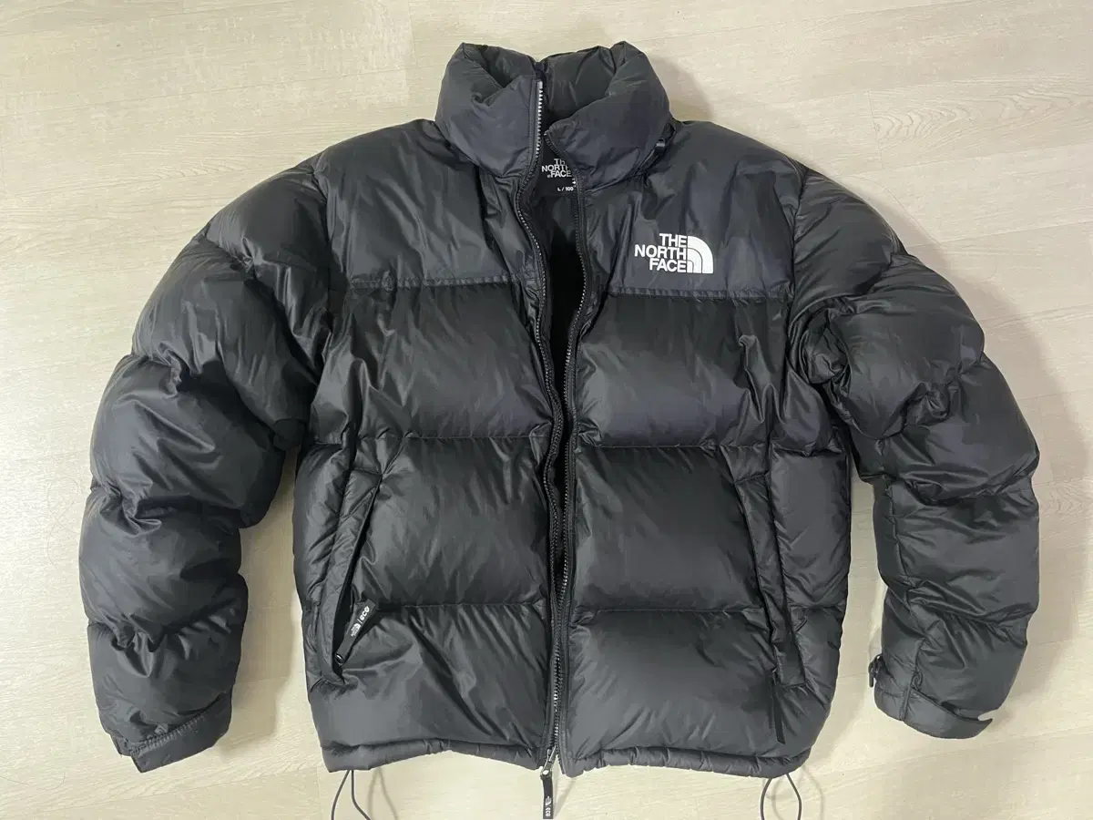 The North Face 1996 Eco Nupsie L size