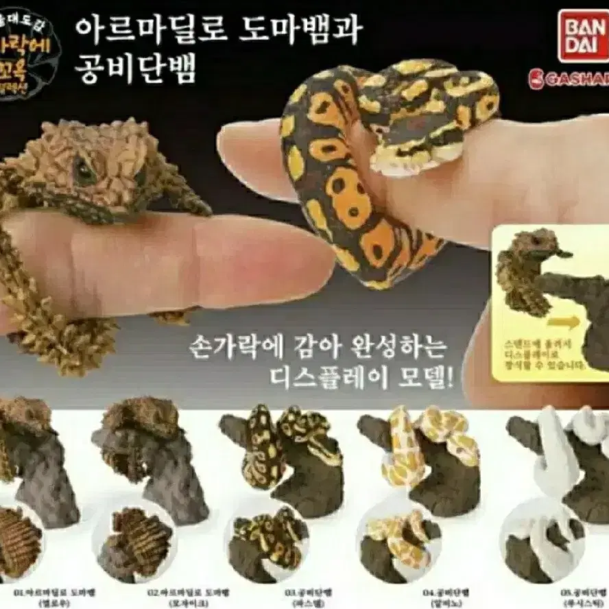 생물대도감 손가락에 꼬옥 갑옷 도마뱀과 공비단뱀 캡슐토이 갸차 뽑기 일본