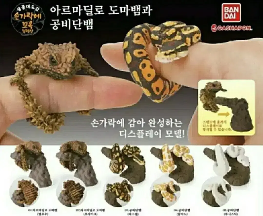 생물대도감 손가락에 꼬옥 갑옷 도마뱀과 공비단뱀 캡슐토이 갸차 뽑기 일본