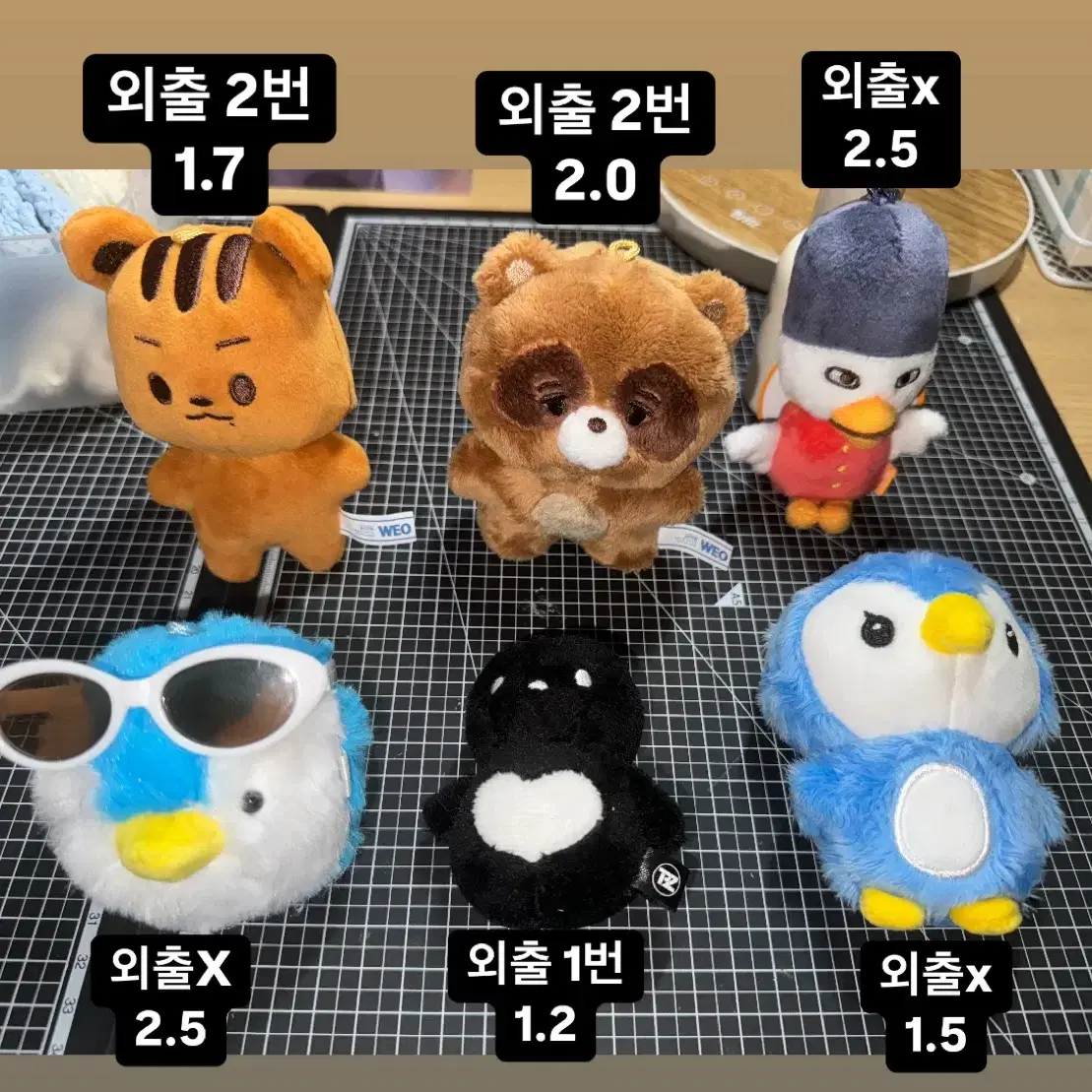 더보이즈 라이즈 인형