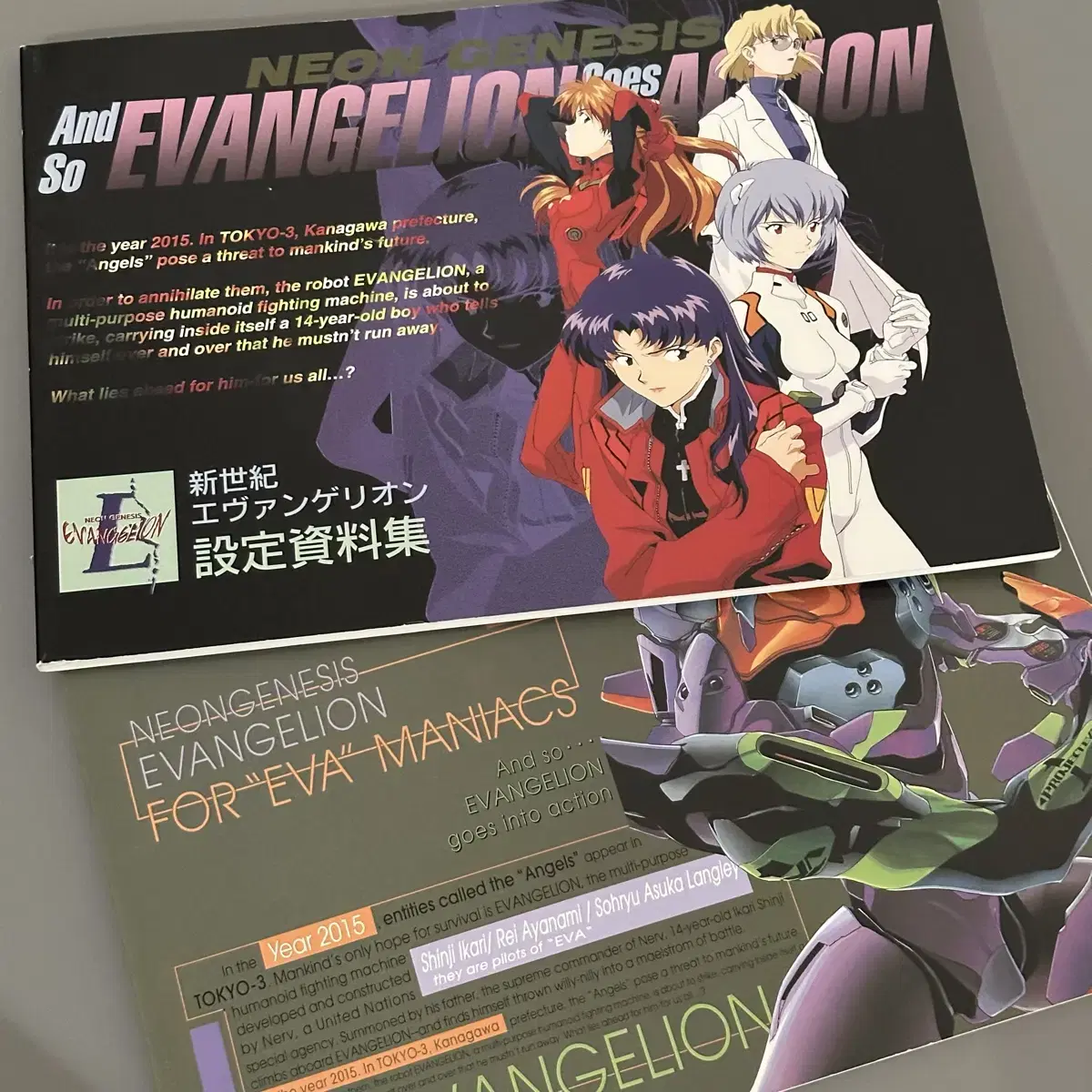 Evangelion Setting Book Original Art Book lay Kaoru Shinji