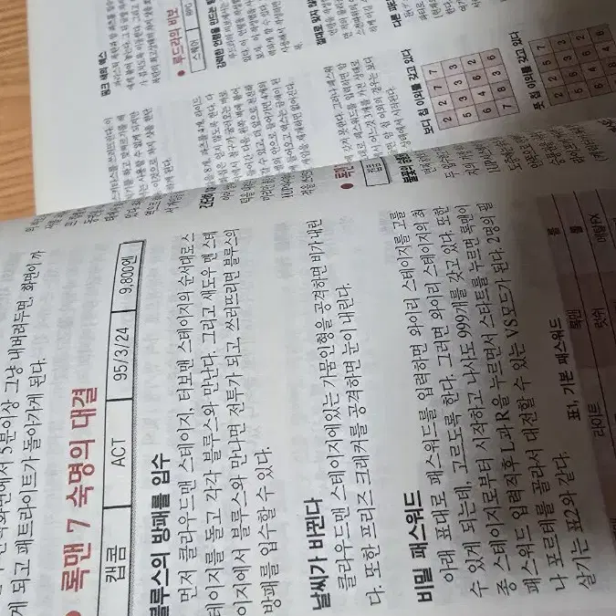 게임비기 대 사전