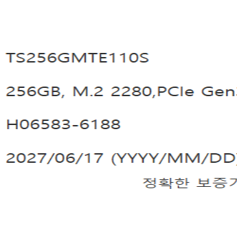 트랜센드 NVME SSD TS256GMTE110S 256GB