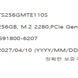 트랜센드 NVME SSD TS256GMTE110S 256GB