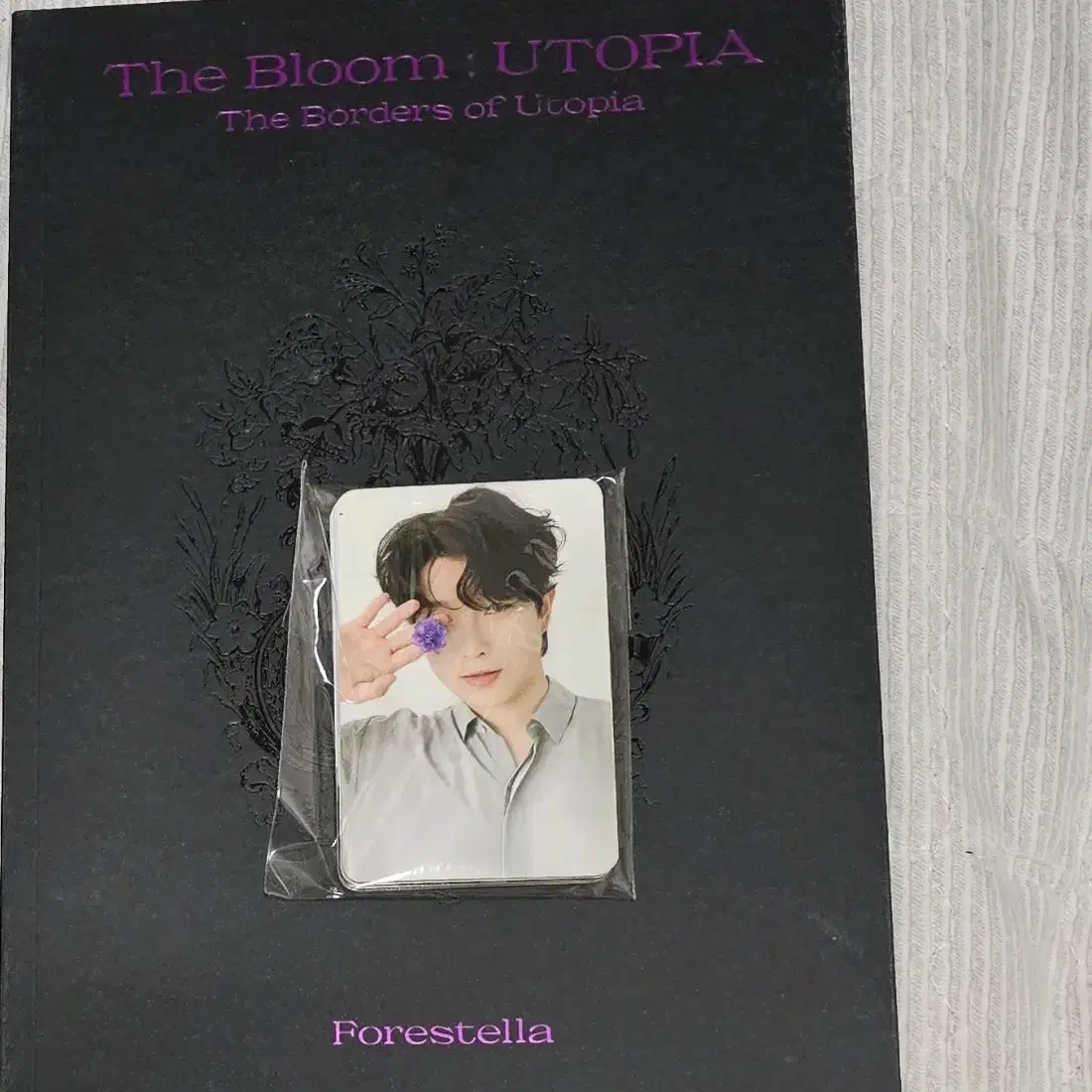 포레스텔라 유토피아 utopia 앨범