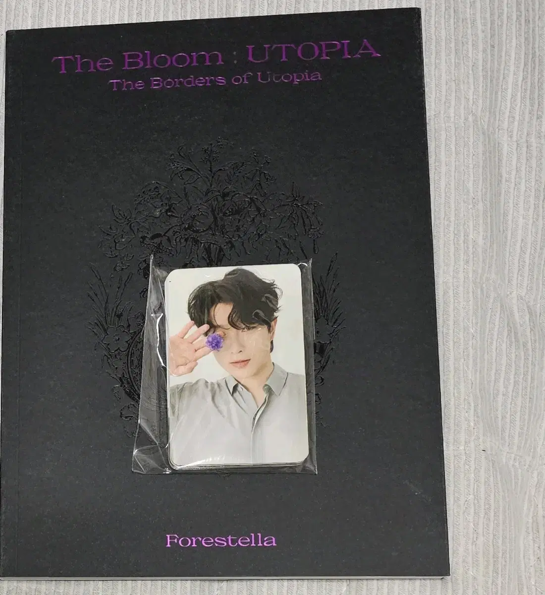 포레스텔라 유토피아 utopia 앨범