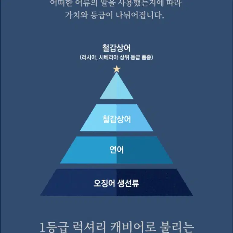 설선물추천 [송가인 세븐업플러스] 철갑상어 캐비어 100% 진액 건강즙