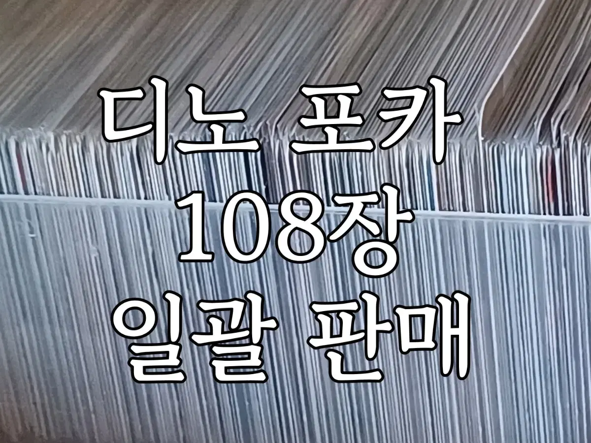 세븐틴 디노 포카 108장 일괄판매