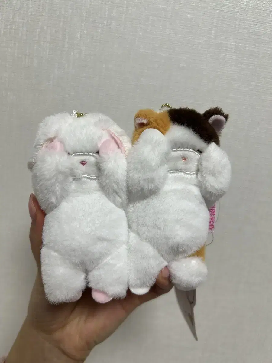 키링인형 부끄토끼 부끄냥이