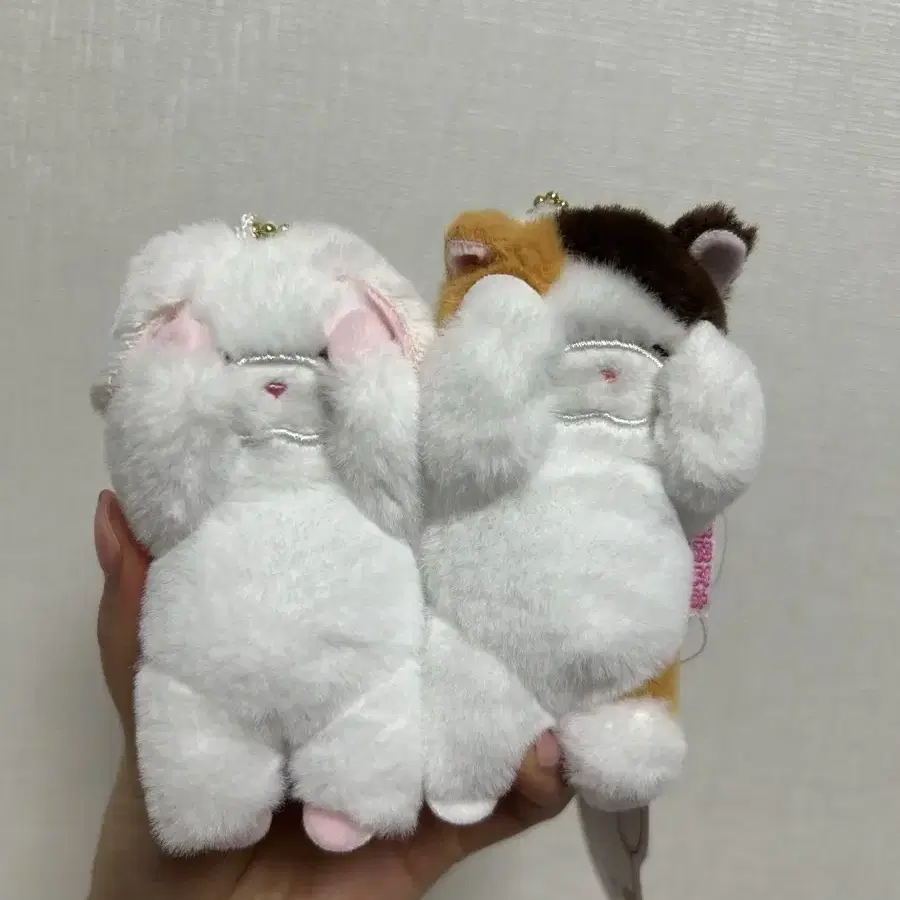 키링인형 부끄토끼 부끄냥이