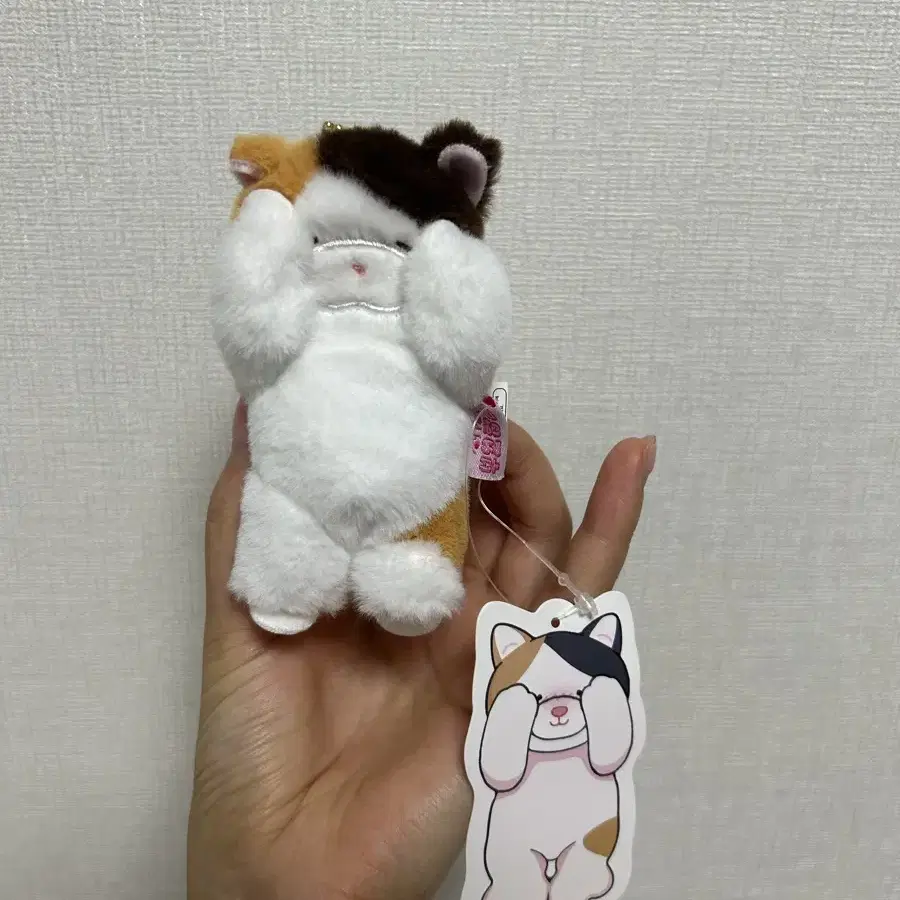 키링인형 부끄토끼 부끄냥이