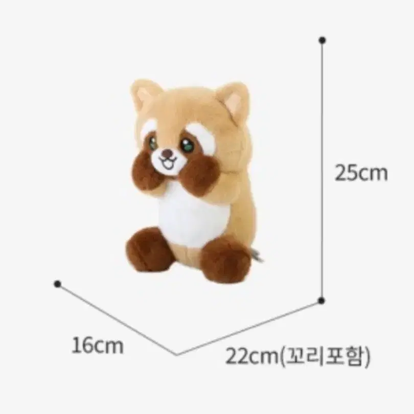 까꿍 너구리 25cm 인형 새상품