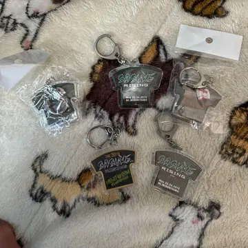 SASUKE RISING 아크릴 키링 5개 세트