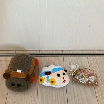 몰커 테디 감자 시로모 3개 세트