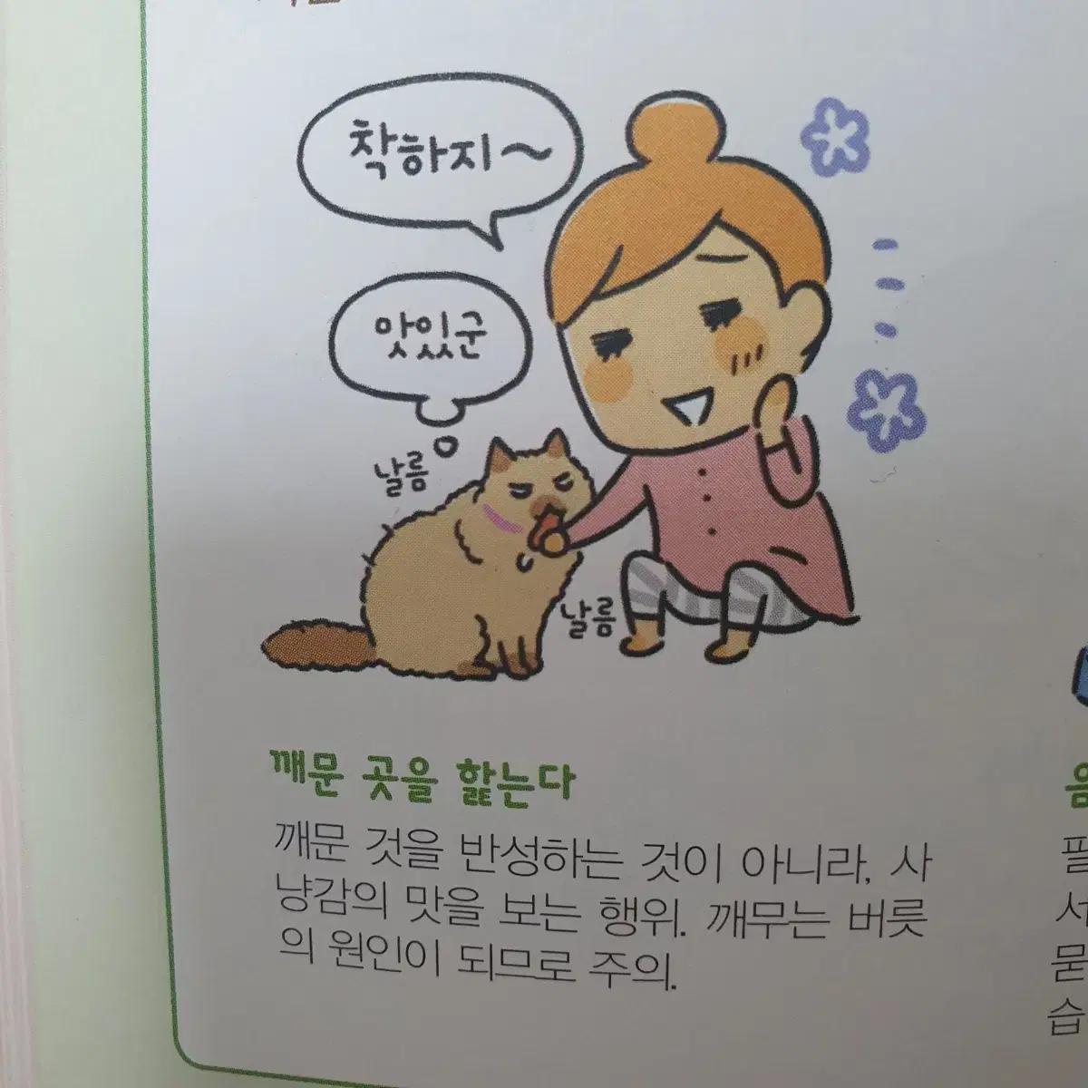 프로세카 요이사키 카나데 코롯토