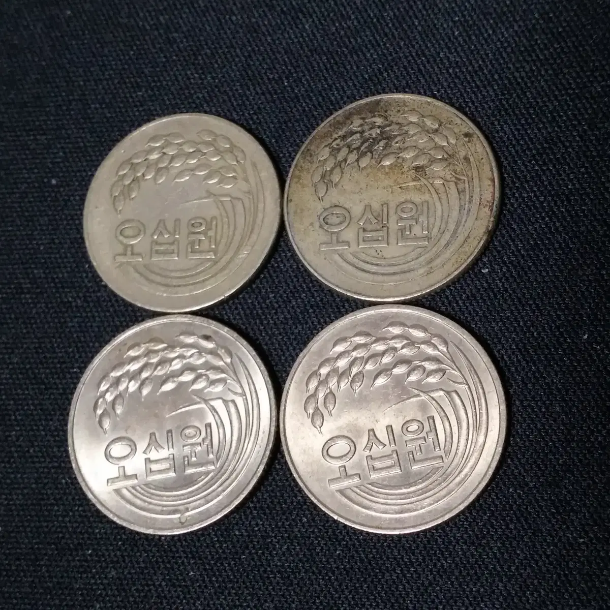 50원 동전 1972년 1981년