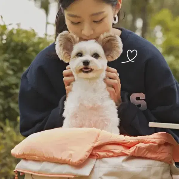 아르르 포옹백새상품 미스티로즈