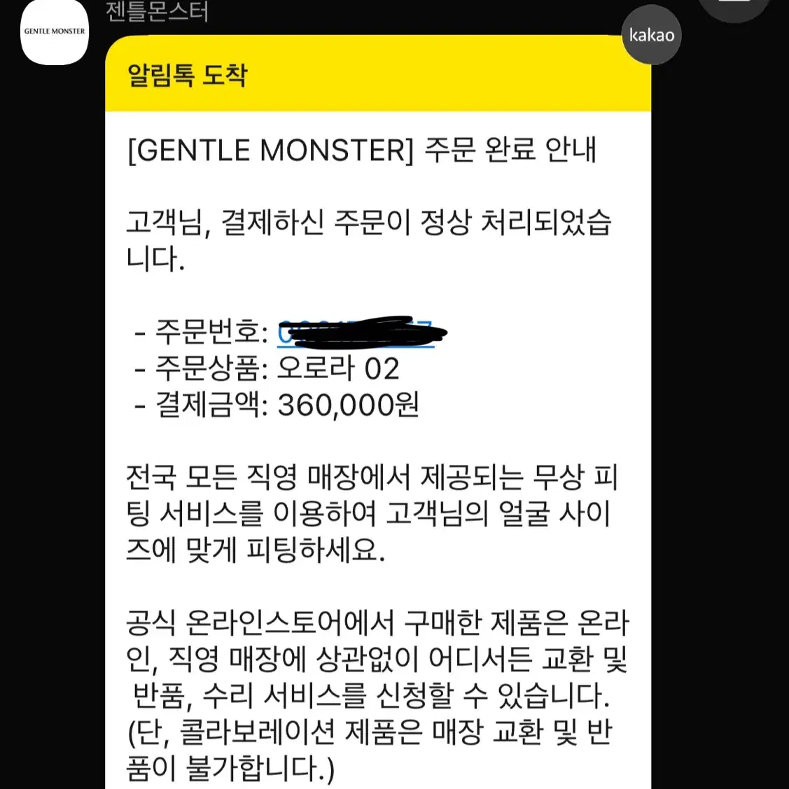 젠틀몬스터 오로라 02 실버 클리어