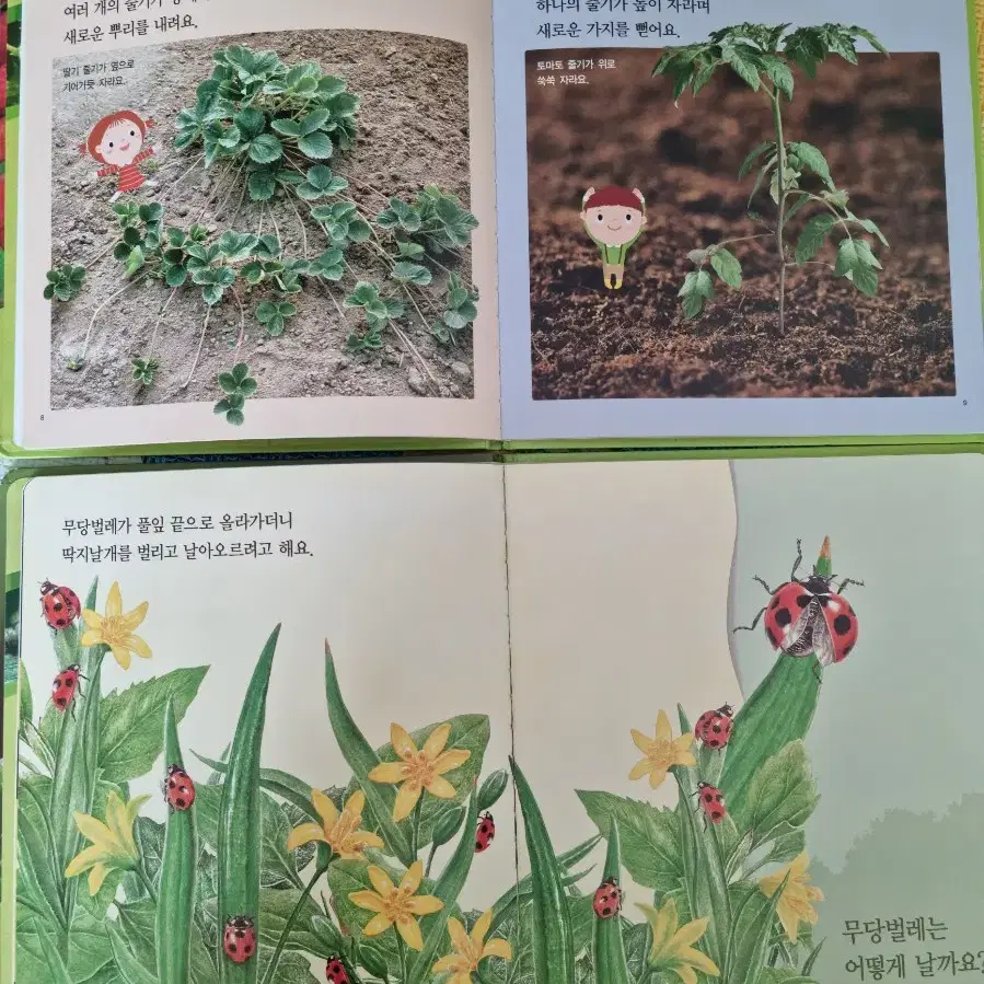 프뢰벨 자연관찰책 아기책 영아책