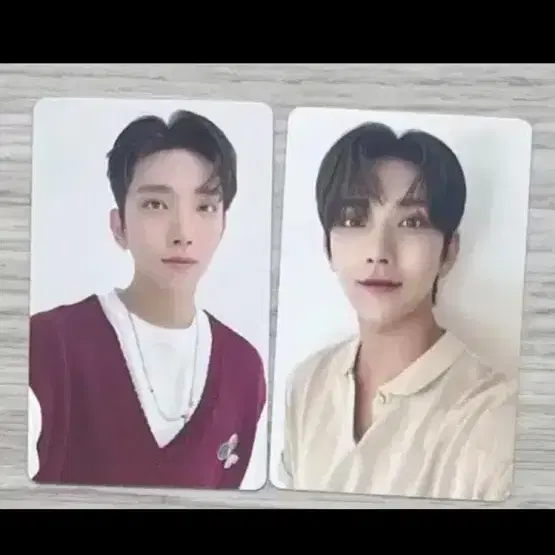 세븐틴 조슈아 포카