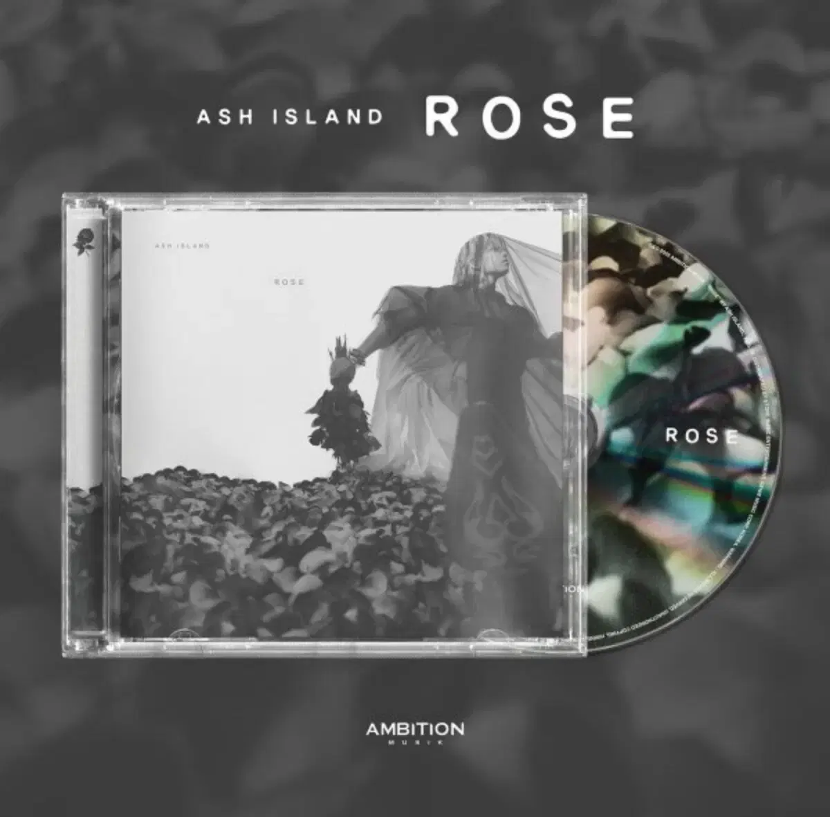 ashisland 애쉬아일랜드 _ ROSE