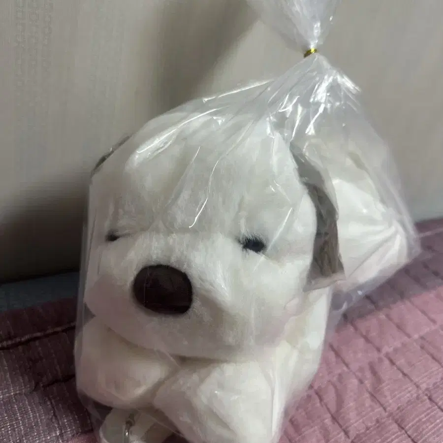 뭉뭉이 라잉 백팩 대형인형 40cm 새상품