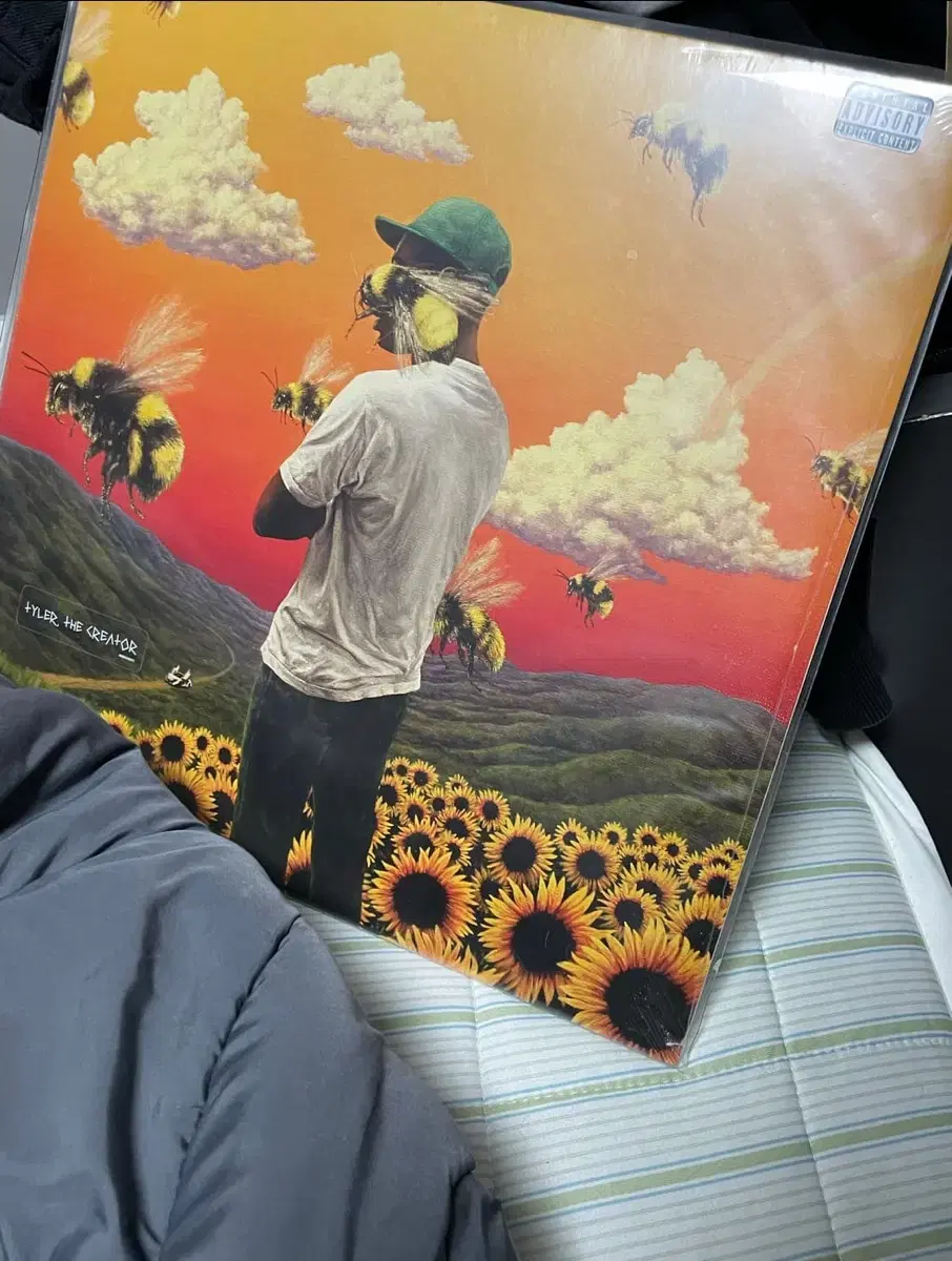 Tyler, the Creator Flower Boy LP