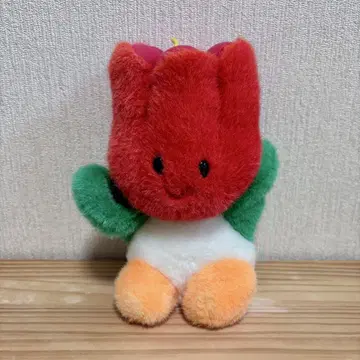하우스텐보스 츄리짱 레드 레드