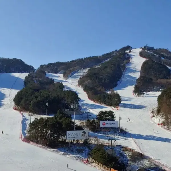 웰리힐리파크 주말 연휴 콘도 양도해드립니다