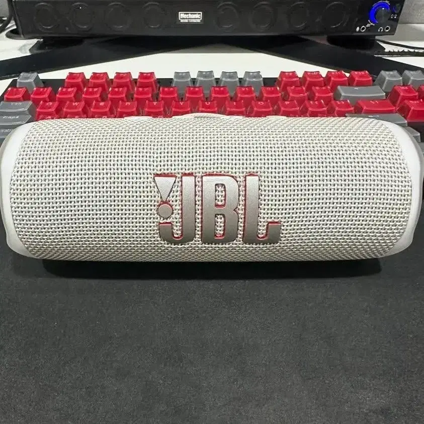 jbl 플립 6