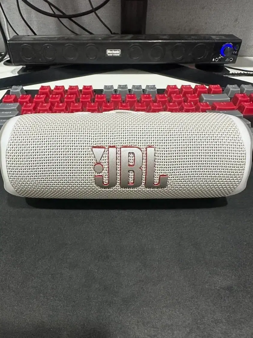 jbl 플립 6