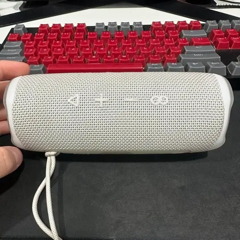 jbl 플립 6