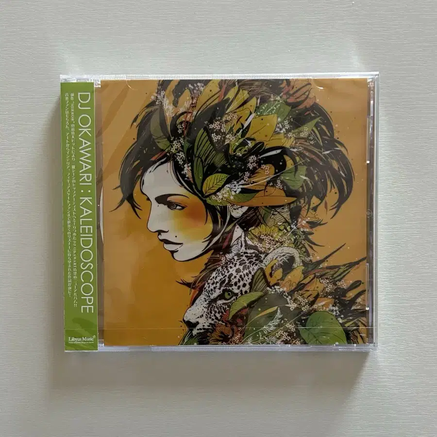 DJ OKAWARI Kaleidoscope 3집 CD