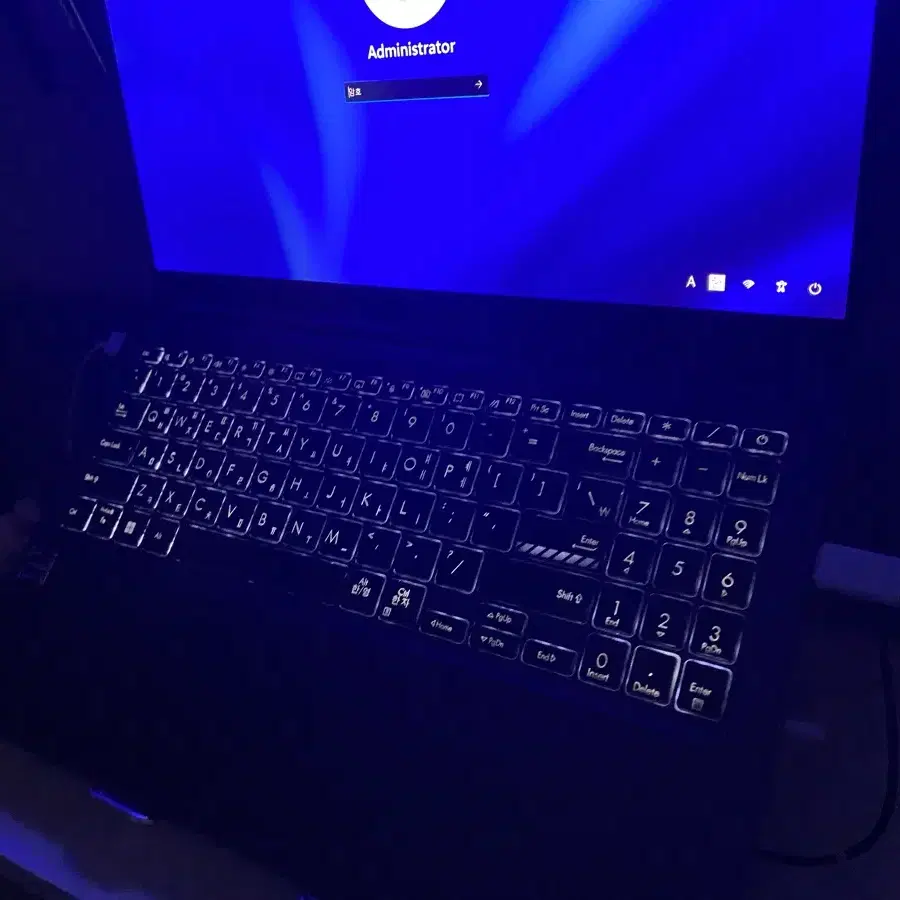 ASUS VivoBook 15X OLED